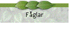 Fglar